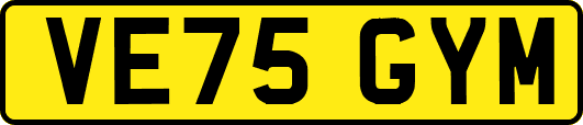 VE75GYM