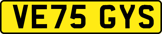 VE75GYS