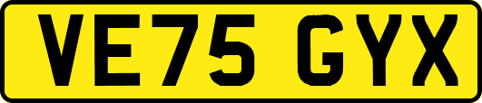 VE75GYX