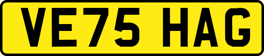 VE75HAG