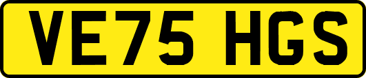 VE75HGS