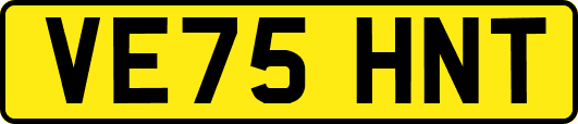 VE75HNT