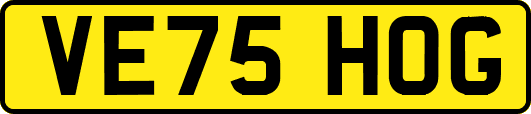 VE75HOG
