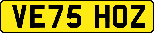 VE75HOZ