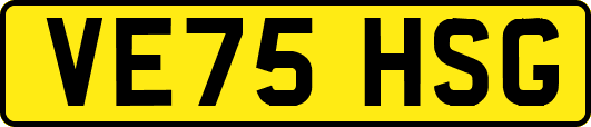 VE75HSG