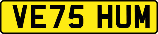 VE75HUM