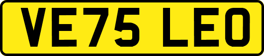 VE75LEO