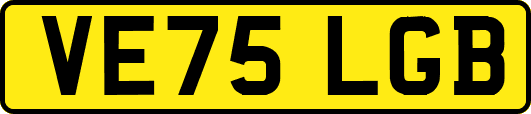 VE75LGB