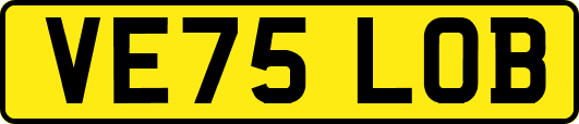 VE75LOB