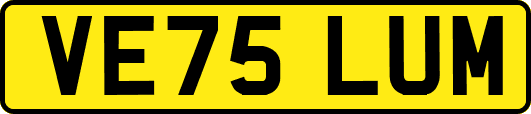 VE75LUM