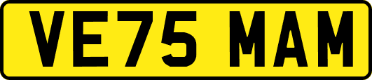 VE75MAM