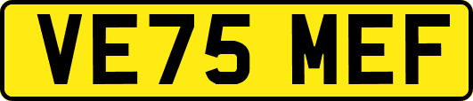 VE75MEF