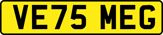 VE75MEG