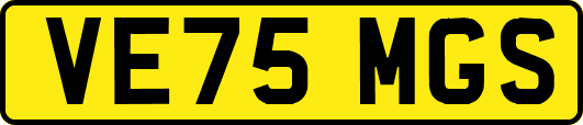 VE75MGS