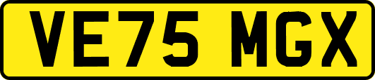 VE75MGX