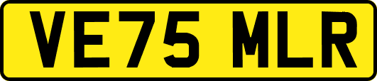 VE75MLR
