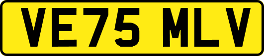 VE75MLV