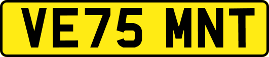 VE75MNT