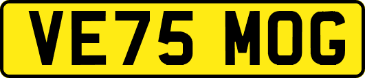 VE75MOG