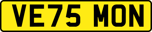 VE75MON
