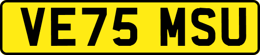 VE75MSU