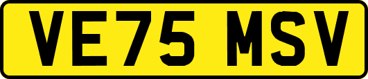 VE75MSV
