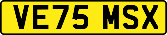 VE75MSX