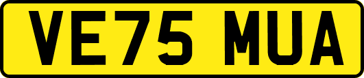 VE75MUA