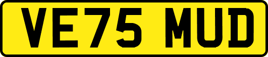 VE75MUD