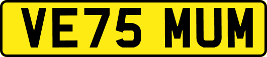 VE75MUM