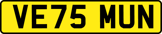 VE75MUN