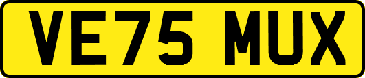 VE75MUX
