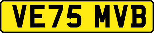 VE75MVB