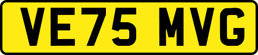 VE75MVG
