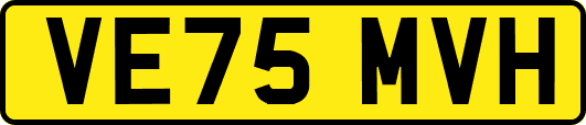 VE75MVH