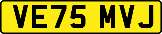 VE75MVJ