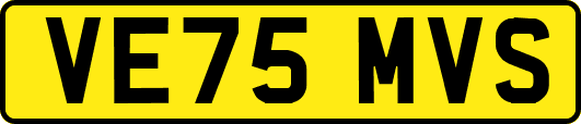 VE75MVS