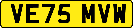 VE75MVW