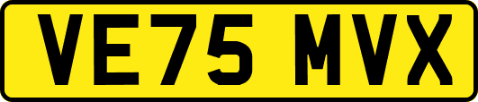 VE75MVX