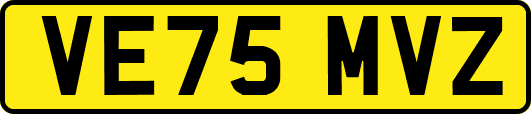 VE75MVZ
