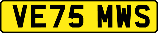 VE75MWS