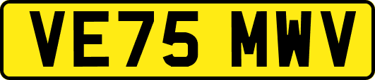 VE75MWV