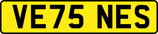 VE75NES