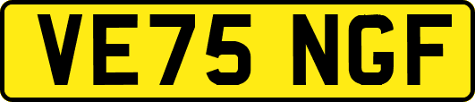 VE75NGF