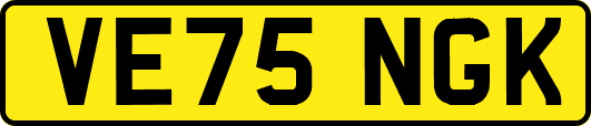 VE75NGK