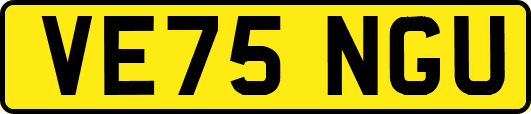 VE75NGU