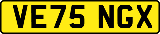 VE75NGX