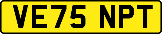 VE75NPT