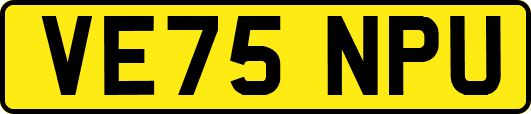 VE75NPU