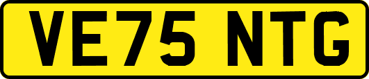 VE75NTG